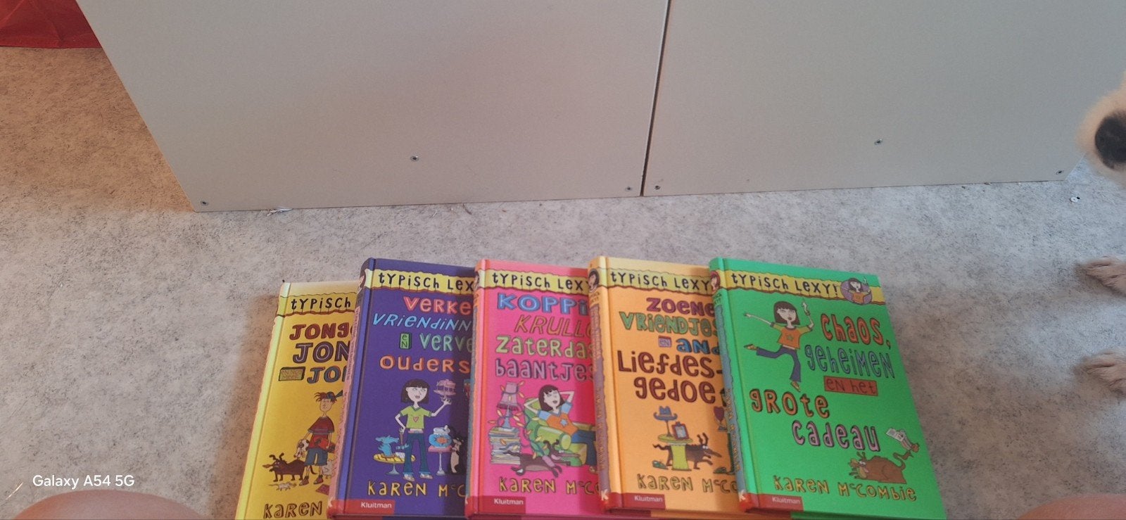Typisch Lexy! boeken set - Karen McCombie, Boeken, Ophalen of Verzenden