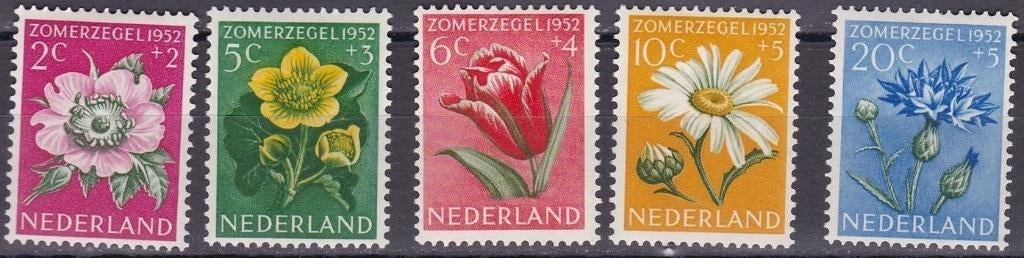 Nederland 1952 - nvph 583-587 - Bloemen - plakkerafdrukje, Verzenden, Na 1940