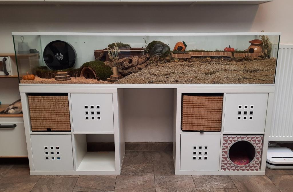 Hamsterkooi glas model zonder schuifruiten, Minder dan 60 cm, Kooi, Ophalen of Verzenden, Hamster