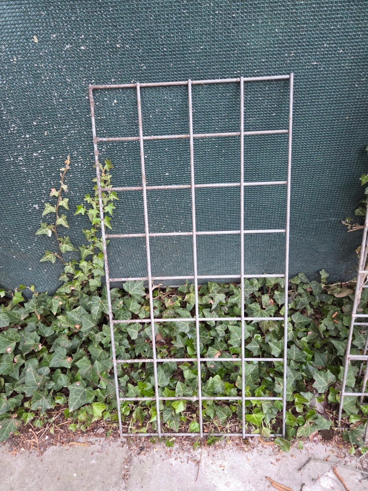 Gegalvaniseerde gaaspanelen 30x90 cm, Ophalen, IJzer