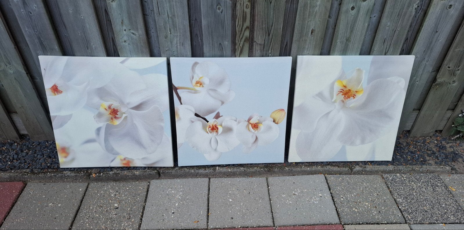 Drieluik orchideeën., Ophalen, Minder dan 50 cm, Schilderij