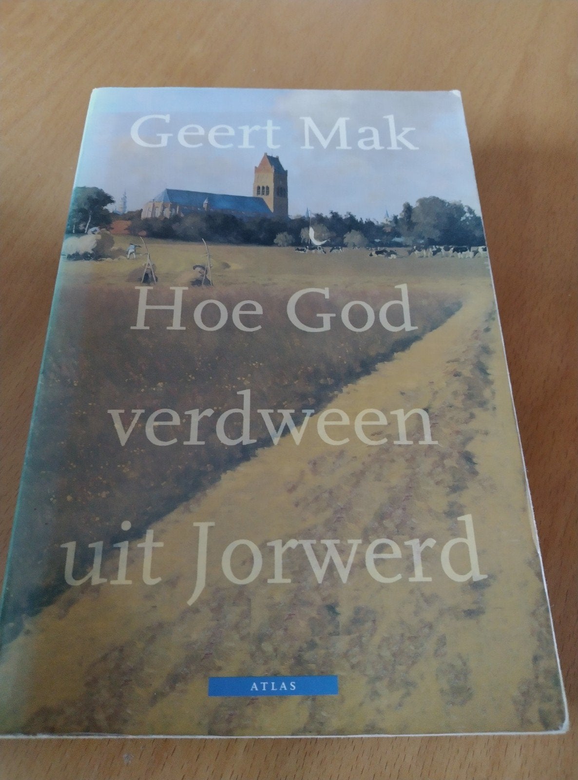 Geert Mak Boeken Collectie - 9 titels, Ophalen of Verzenden, 20e eeuw of later, Gelezen, Geert Mak