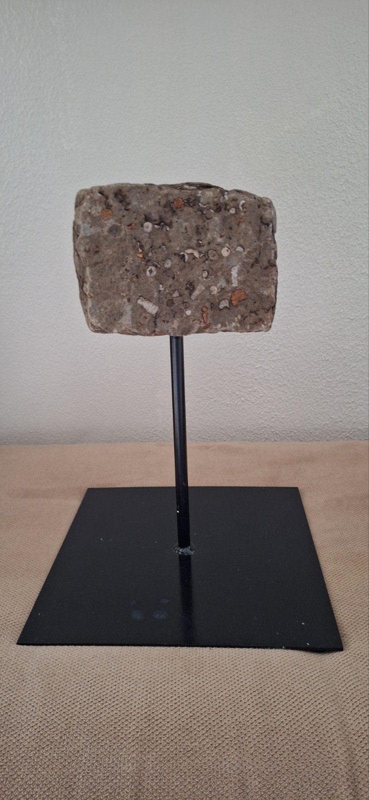 Unieke sculptuur met fossiele steen op standaard, Ophalen of Verzenden, Fossiel