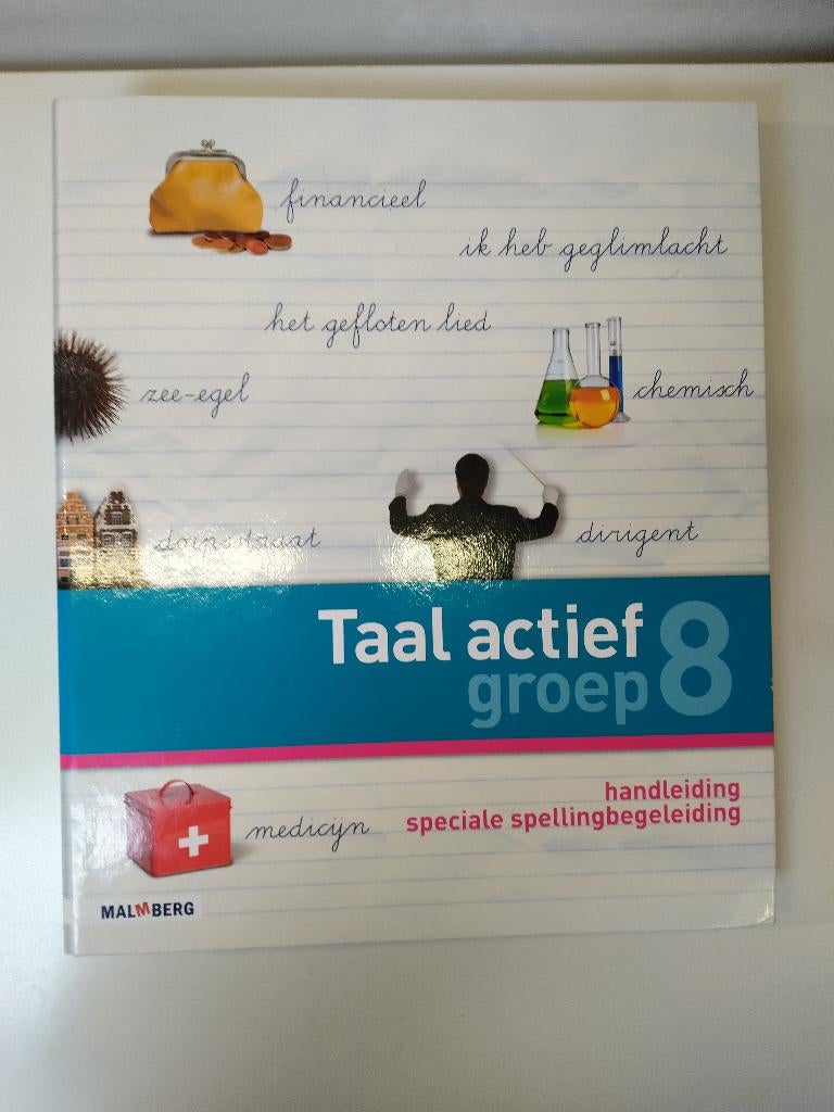 Taal Actief Speciale Spellingbegeleiding - Groep 8, Ophalen of Verzenden, Zo goed als nieuw, Overige niveaus, Nederlands