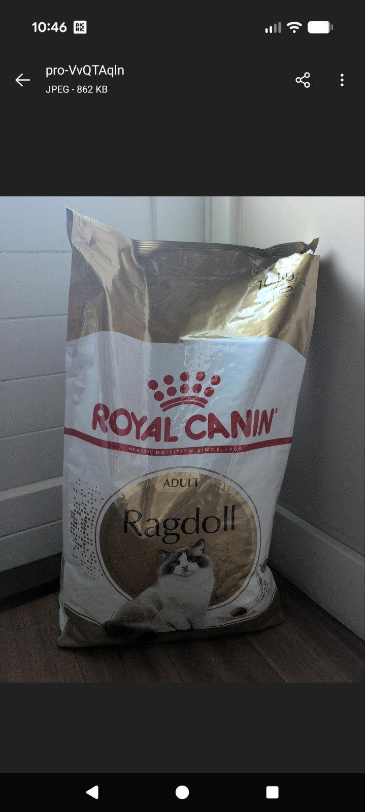royal Canin Ragdoll, Ophalen, Kat