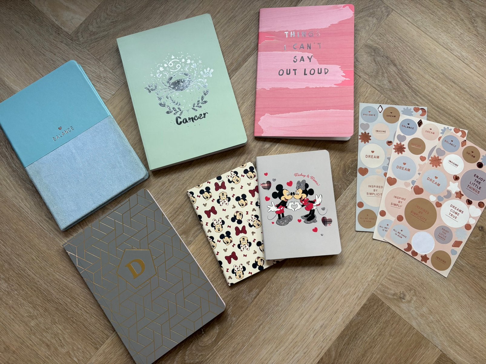 Set schriften/ notitieboekjes, Hobby en Vrije tijd, Ophalen of Verzenden, Zo goed als nieuw