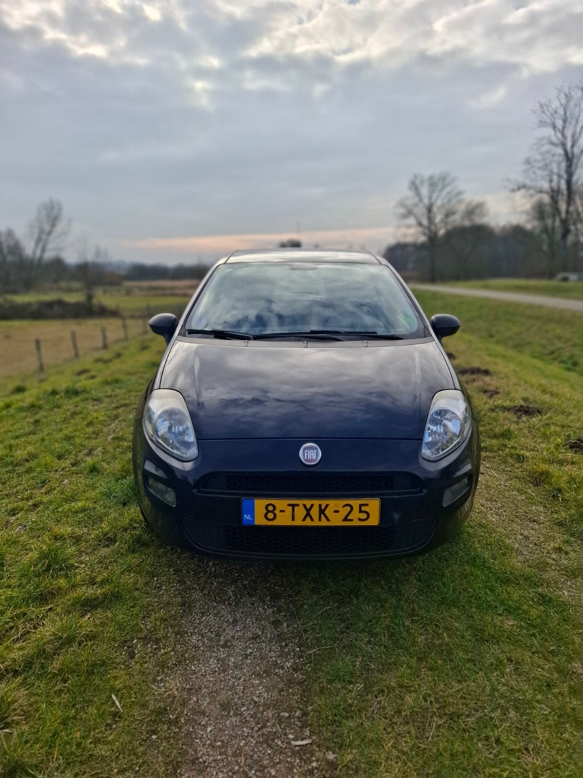 Fiat Punto 0.9 Twinair 74KW 5DR 2014 Blauw, Voorwielaandrijving, 100 pk, 49 €/maand, Origineel Nederlands