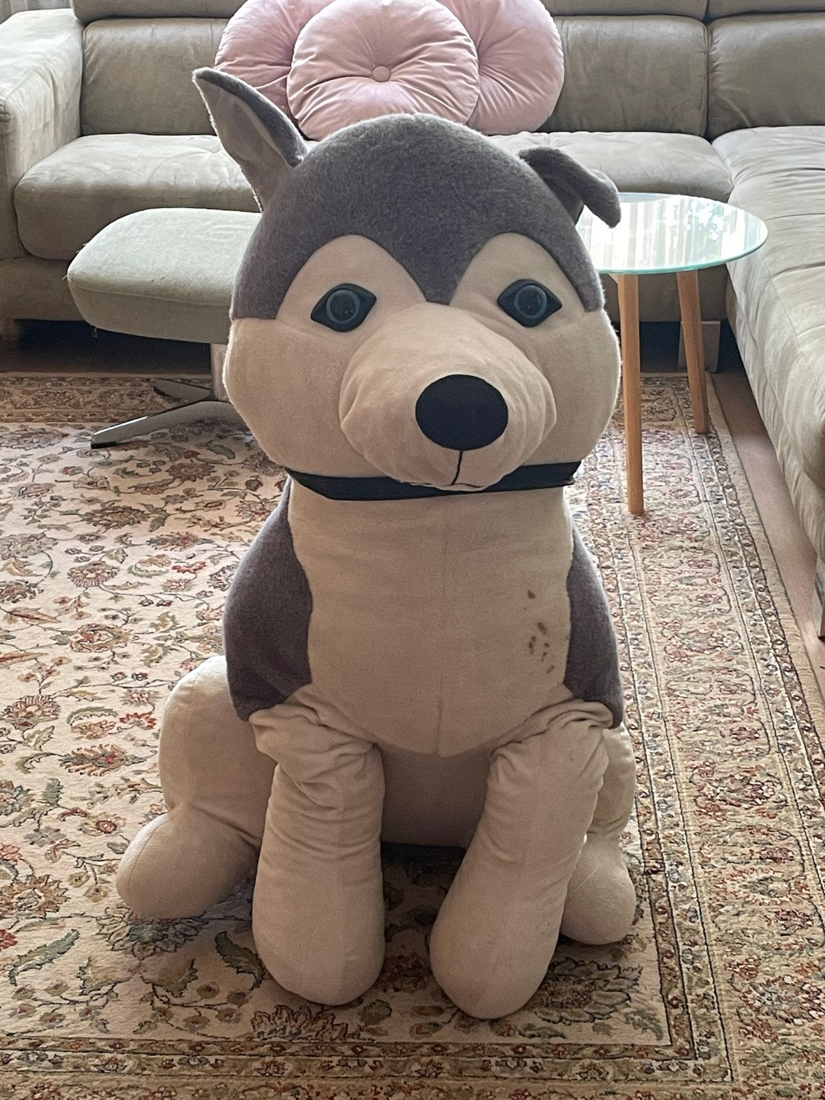 Grote pluche husky hond (Hussie) - 1 meter hoog, Ophalen, Gebruikt, Grijs, Hond