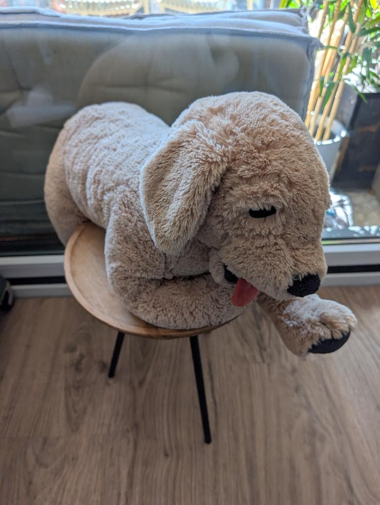 Knuffel hond groot, Ophalen, Hond, Zo goed als nieuw, Middelgroot (20 tot 80 cm)
