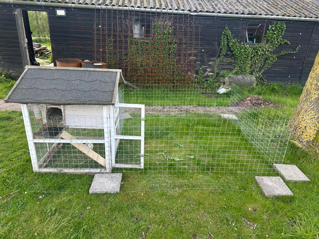 Konijnenhok te koop ! Met buitenren ., Dieren en Toebehoren, Ophalen, Overige typen