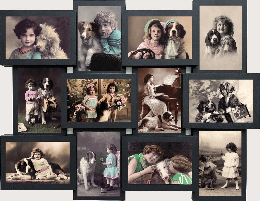 Nostalgische honden foto collage 58x45 cm ingelijst NIEUW‼️, Ophalen of Verzenden, Voor 1920, Ongelopen, Hond of Kat