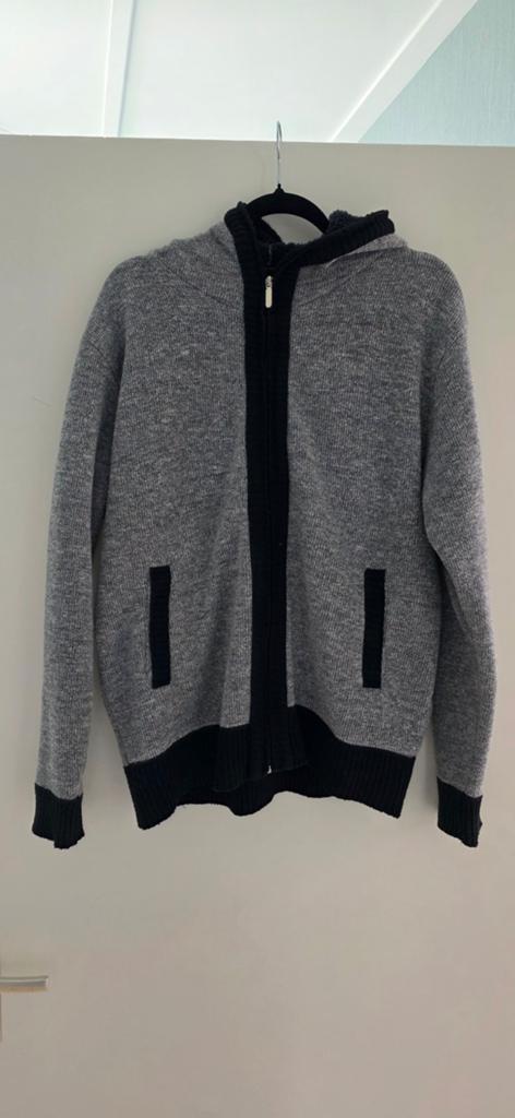 Stijlvol grijs vest met capuchon en rits, Kleding | Heren, Truien en Vesten, Maat 52/54 (L), Onbekend, Ophalen of Verzenden, Grijs