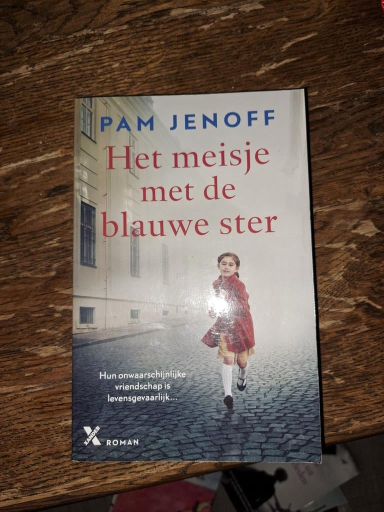 Het meisje met de blauwe ster - Pam Jenoff Roman, Ophalen of Verzenden, Gelezen, Pam Jenoff, Europa overig