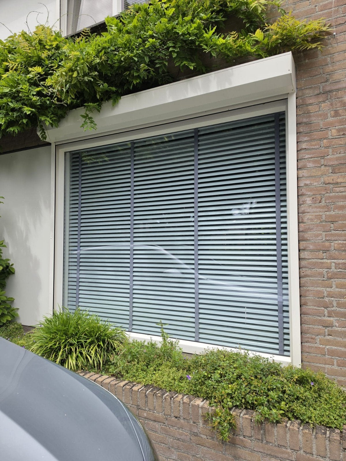 Witte jaloezieën met antracietkleurige lamellen, 150 tot 200 cm, Ophalen of Verzenden, Zo goed als nieuw, Wit