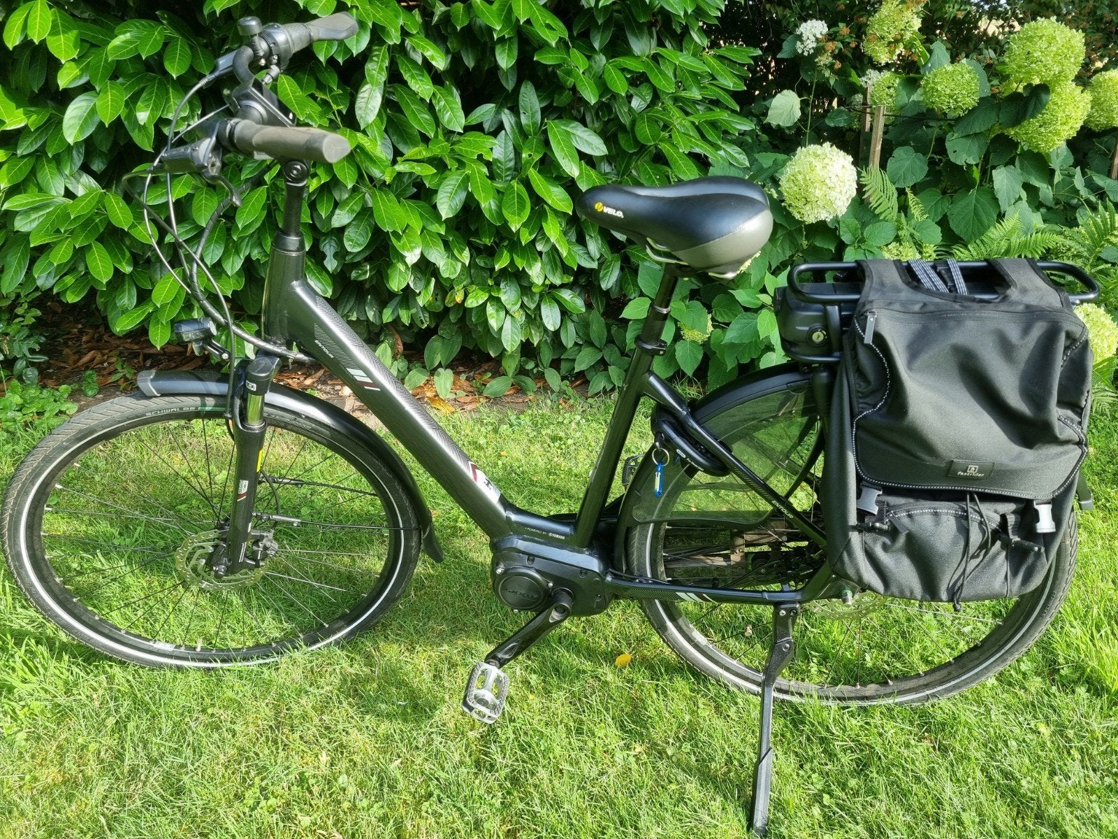 Elektrische damesfiets merk Giant Entour maat M met 2 accu's, Ophalen, Giant