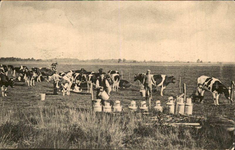 Hilvarenbeek - Lage en Hooge Mierde - Ontginning De Utrecht, Verzamelen, Ansichtkaarten | Nederland, Ophalen of Verzenden, Voor 1920