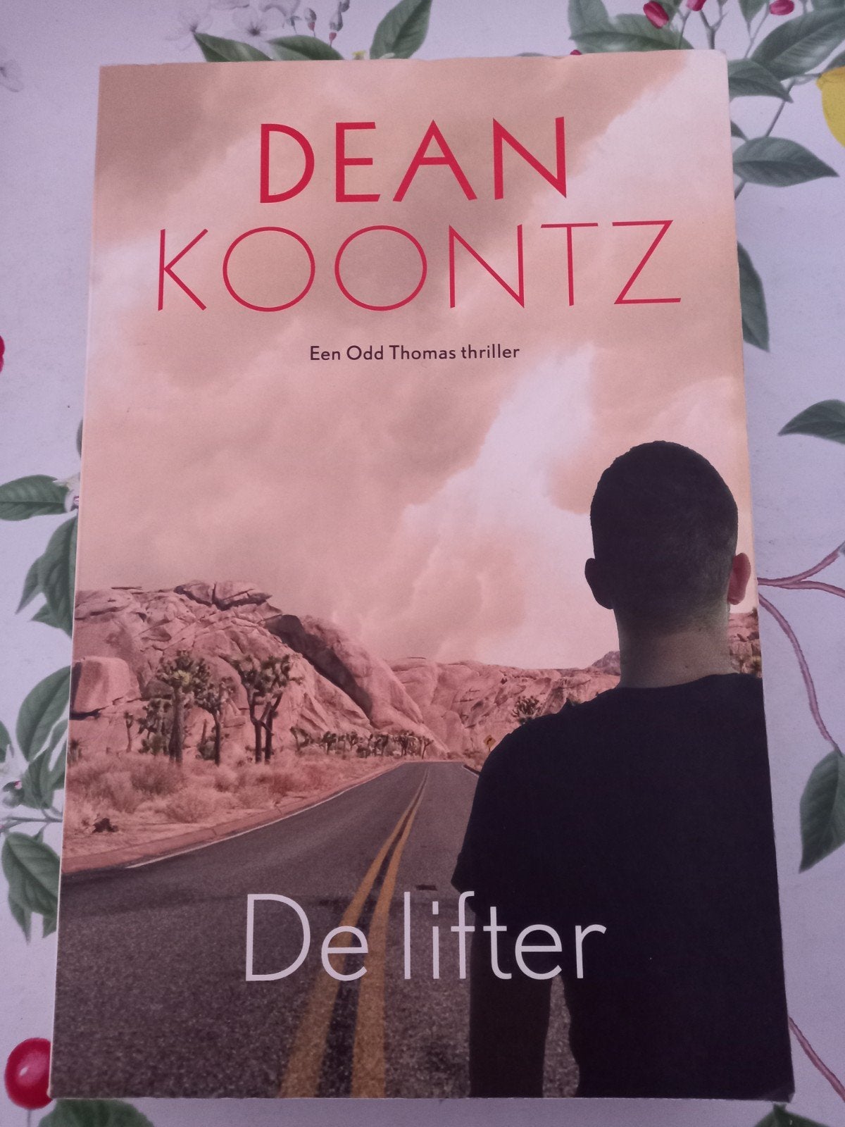x Dean Koontz - De lifter (Odd Thomas thriller), Boeken, Ophalen of Verzenden, Gelezen, Dean Koontz, Wereld overig