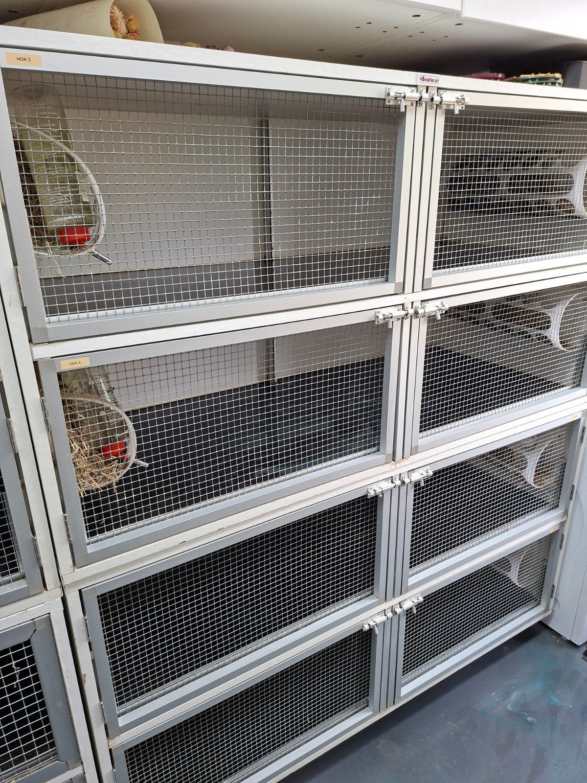 Caviaflat met 4 verdiepingen van 140x60cm, Ophalen, Cavia, 90 cm of meer, Hok