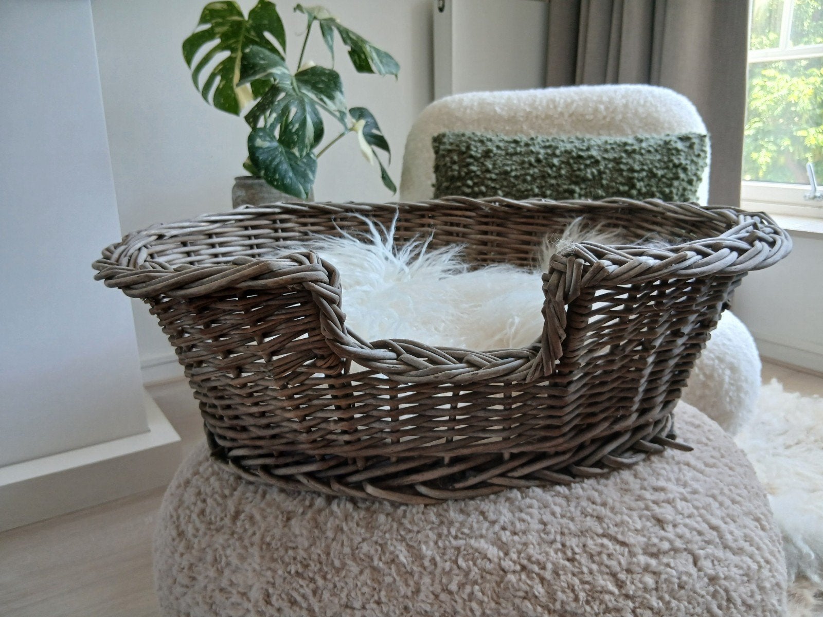 Prachtige rotan honden/katten mand voor maar €12,50, Ophalen of Verzenden, Gebruikt, Rond, Riet