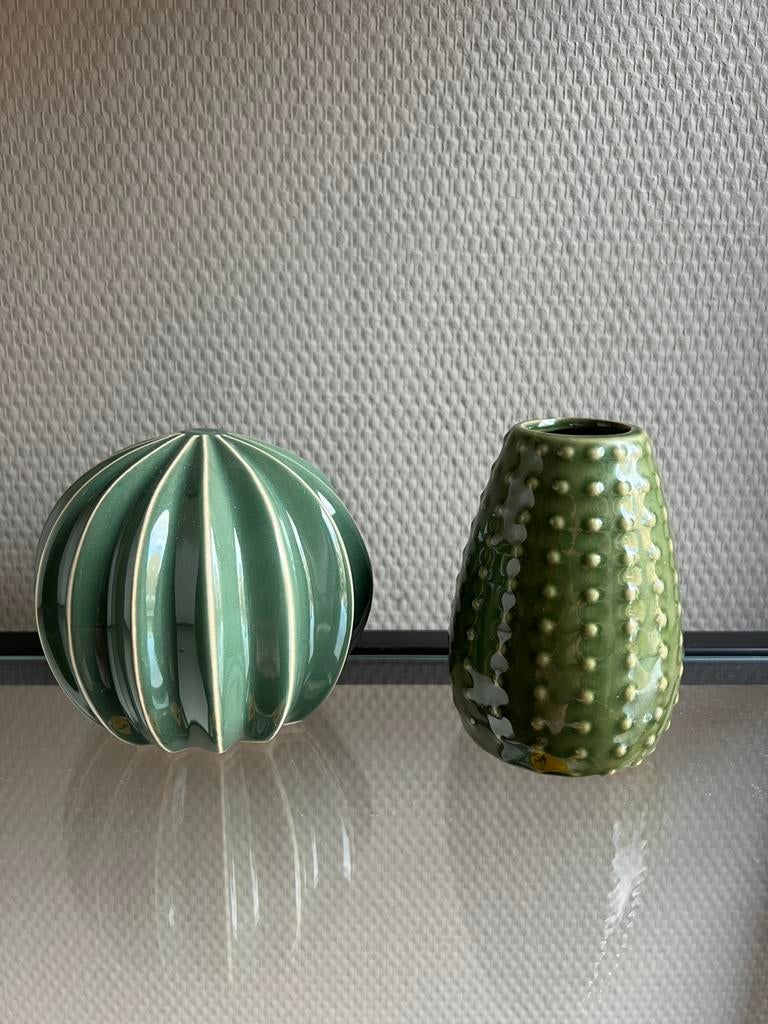 Cactussen setprijs, Overige materialen, Ophalen of Verzenden, Zo goed als nieuw, Minder dan 50 cm