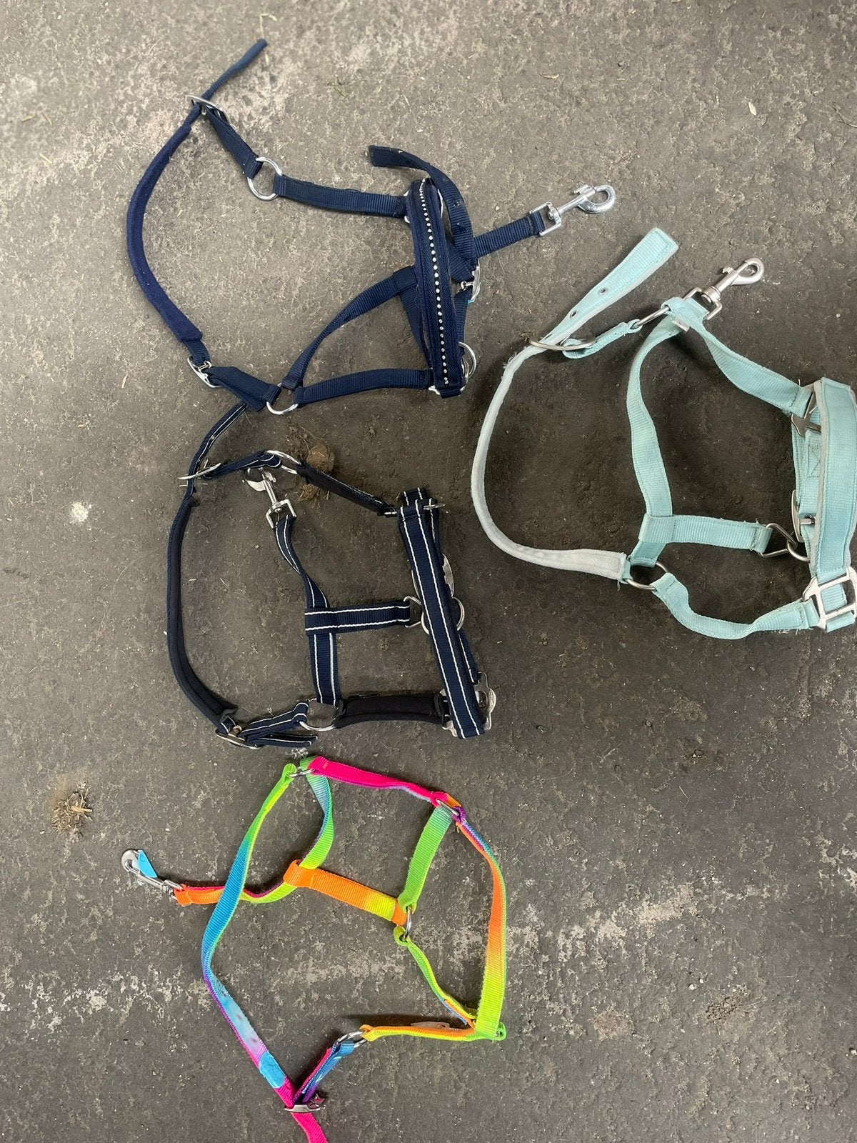 Diverse halsters en touwen, Dieren en Toebehoren, Verzenden, Zo goed als nieuw, Overige soorten
