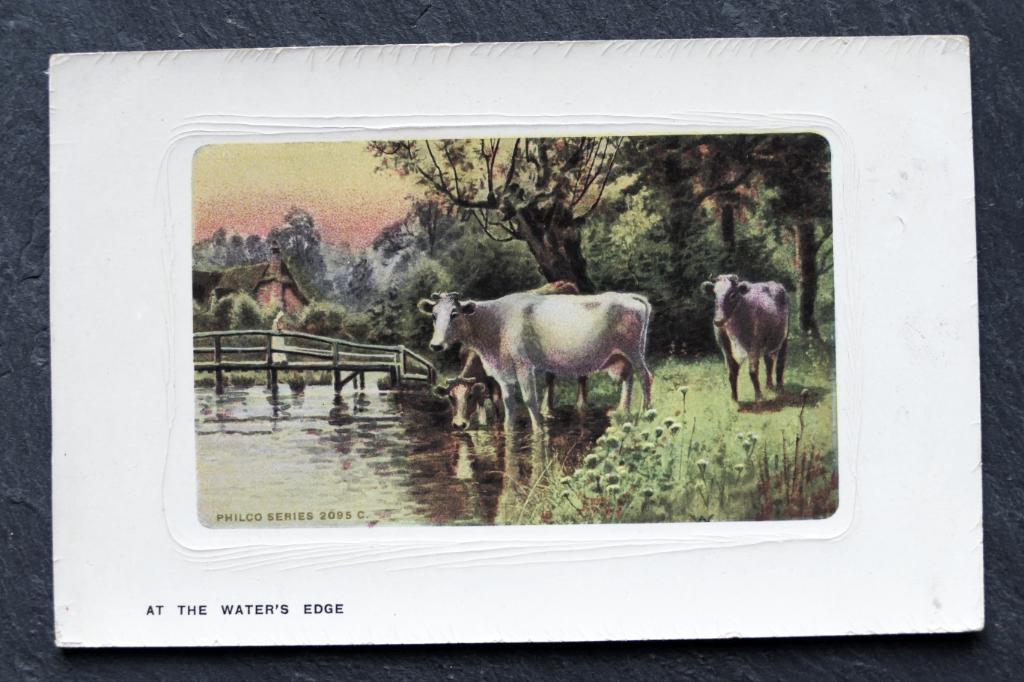 Koeien genietend at the water's edge, Verzenden, Voor 1920, Ongelopen, Overige soorten