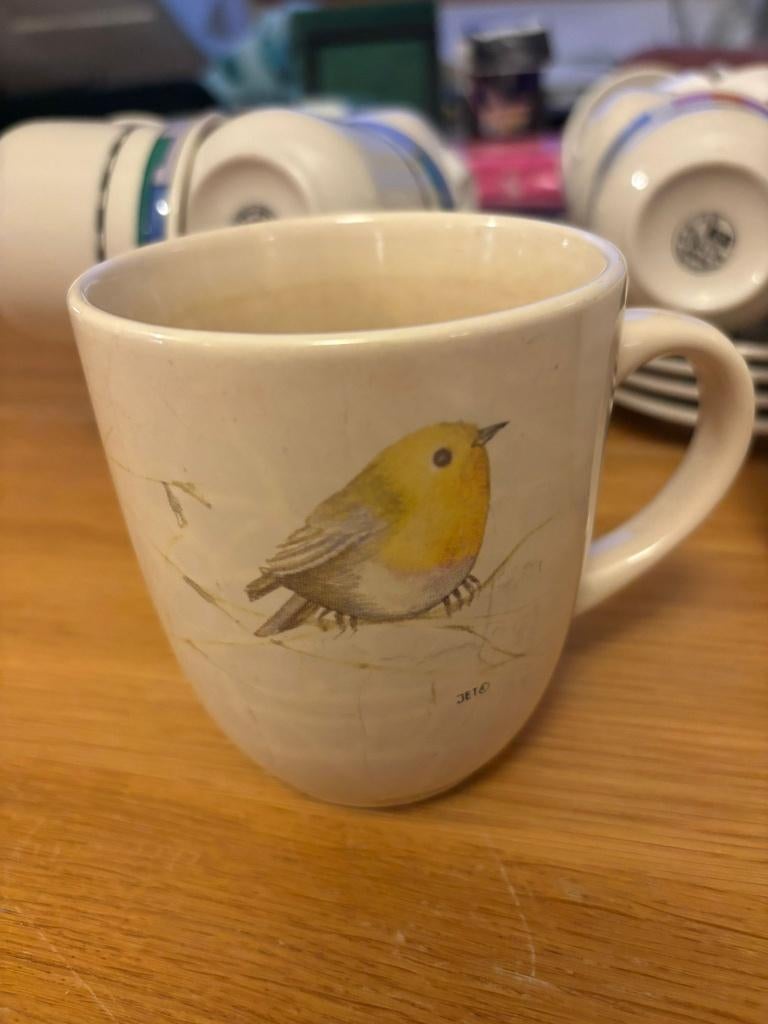 Servies starter kit (minimaal gebruikt), Huis en Inrichting, Keuken | Servies, Ophalen, Zo goed als nieuw, Overige stijlen, Kop(pen) en/of Schotel(s)
