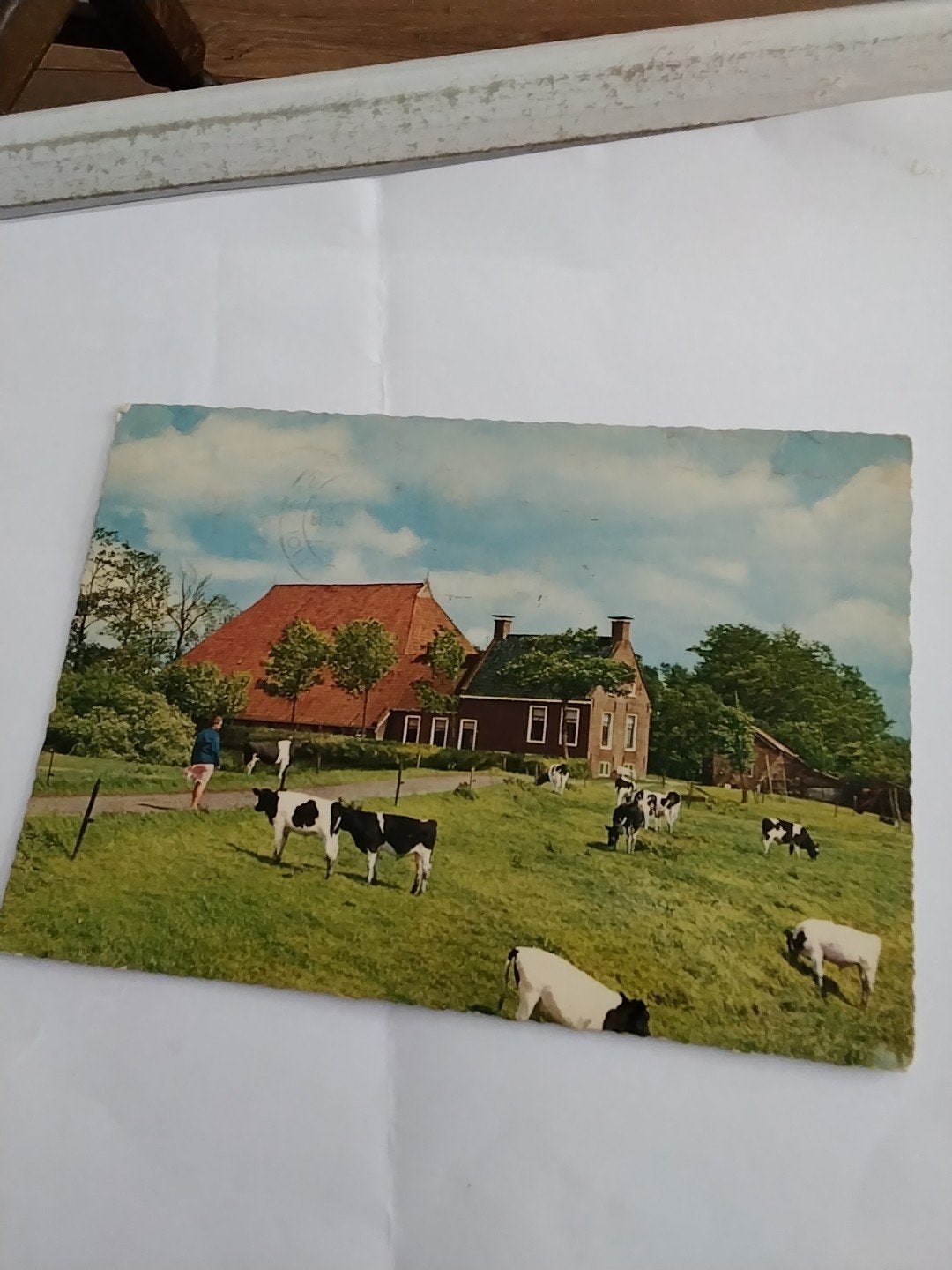 Oude Ansichtkaart Friesland Koeien Boerderij 1966, Ophalen of Verzenden, 1960 tot 1980, Gelopen, Friesland