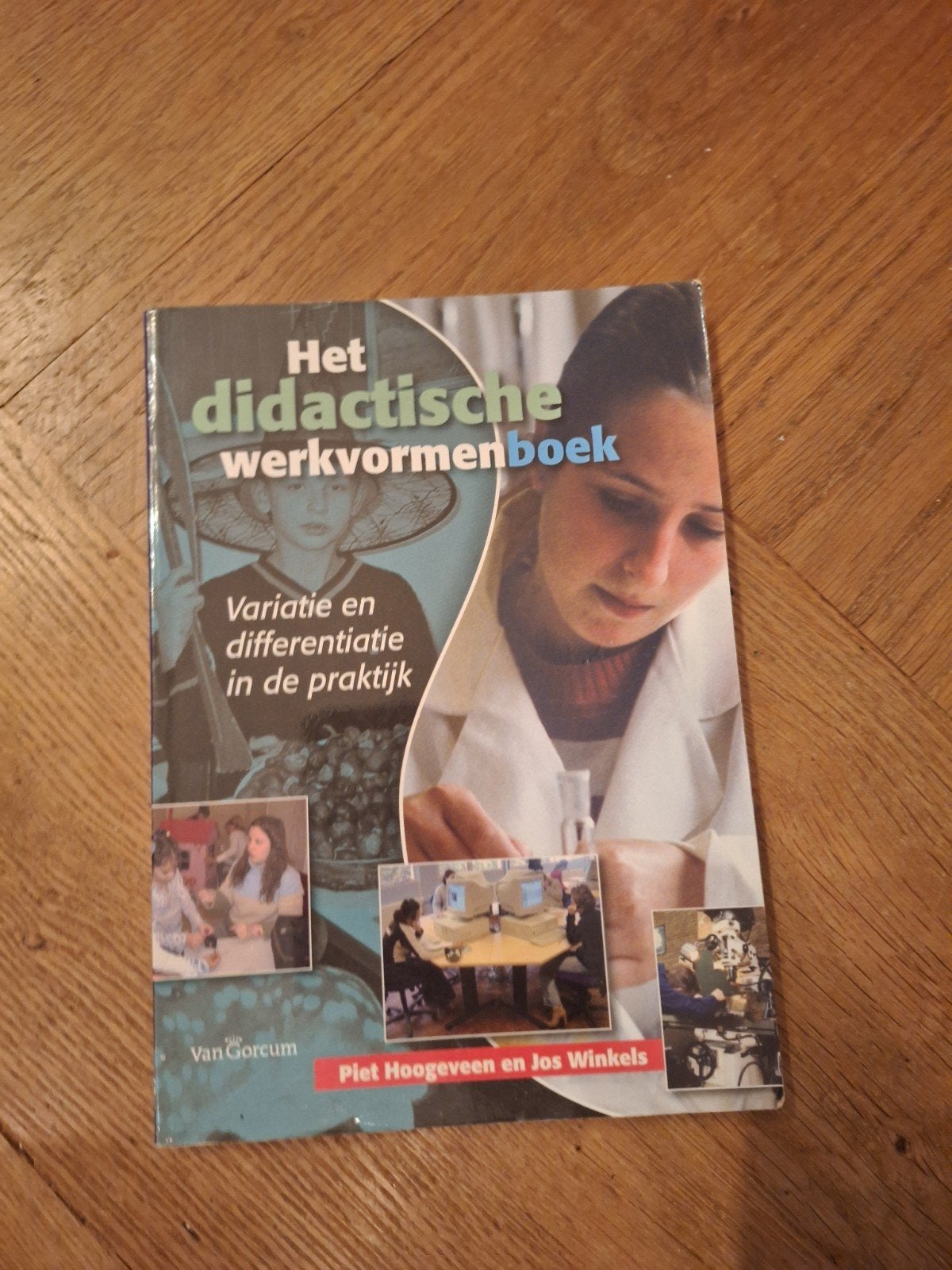 Het didactische werkvormenboek - Variatie en differentiatie, Gelezen, Piet Hoogeveen en Jos Winkels, Gamma, HBO