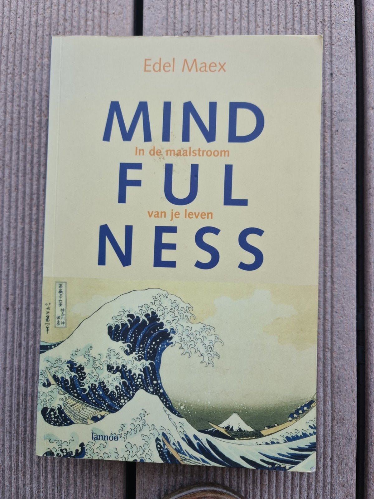 Mindfulness: In de maalstroom van je leven, Meditatie of Yoga, Nieuw, Instructieboek, Edel Maex