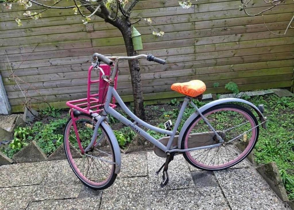 Popal fiets met mand en slot, 50 tot 53 cm, Trommelrem, Ophalen, Overige merken