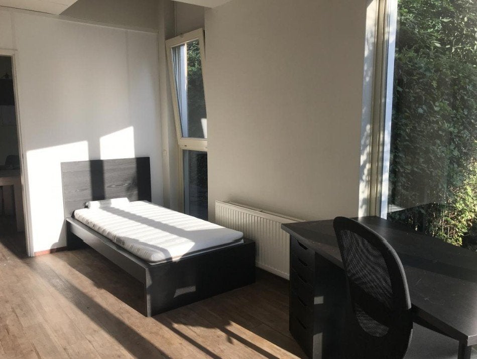 Kamer gezocht, Huizen en Kamers