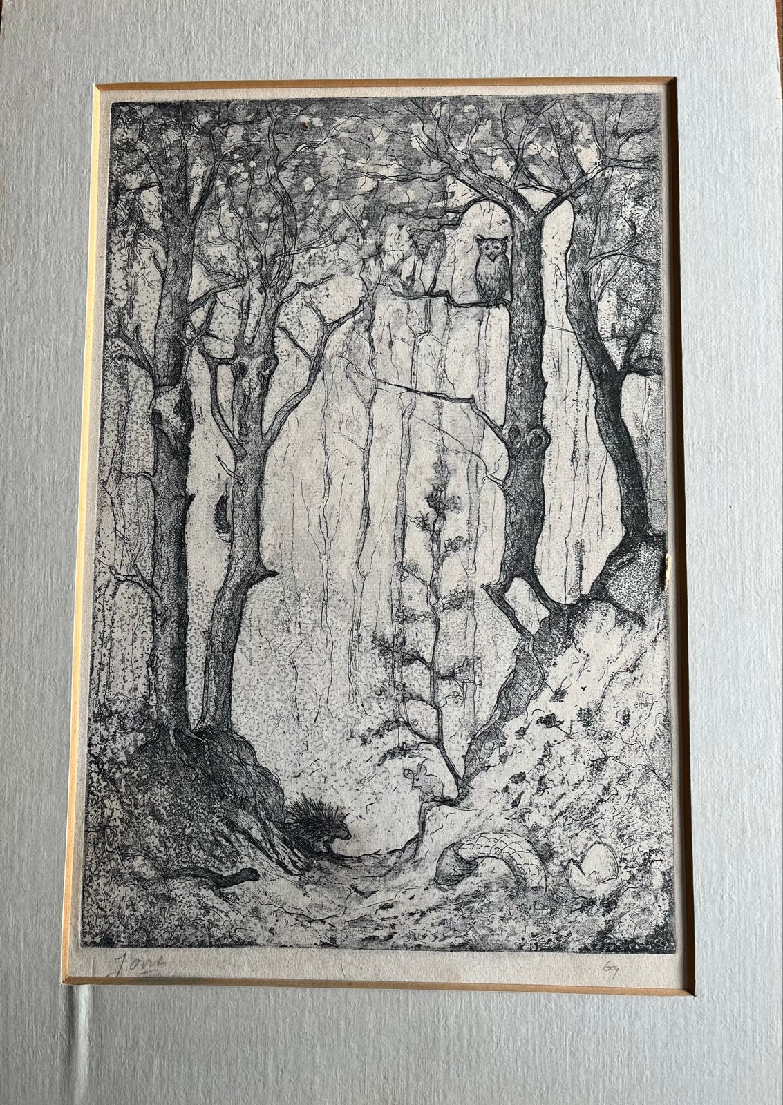 Boslandschap met uil en egel - Ets, Antiek en Kunst, Ets, Ophalen of Verzenden, 1900 - 1949, Flora en Fauna