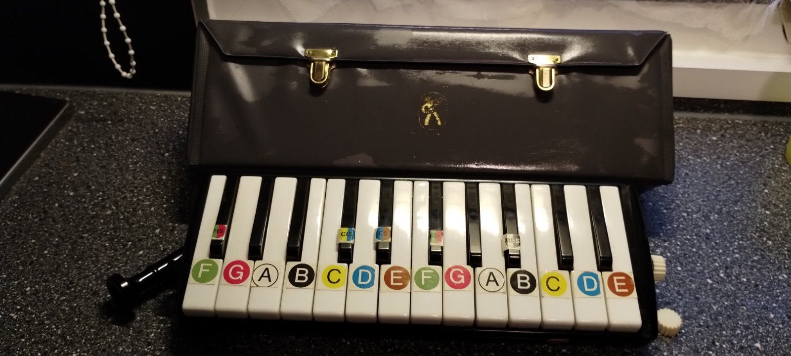 Hohner Melodica-Basso 36.  uit de jaren 60., Ophalen of Verzenden, Zo goed als nieuw