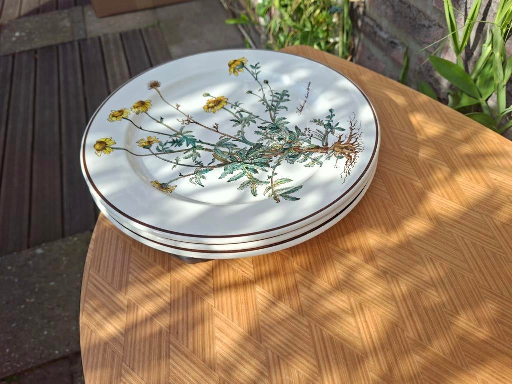 Villeroy & Boch Botanica borden 3 stuks, Ophalen of Verzenden