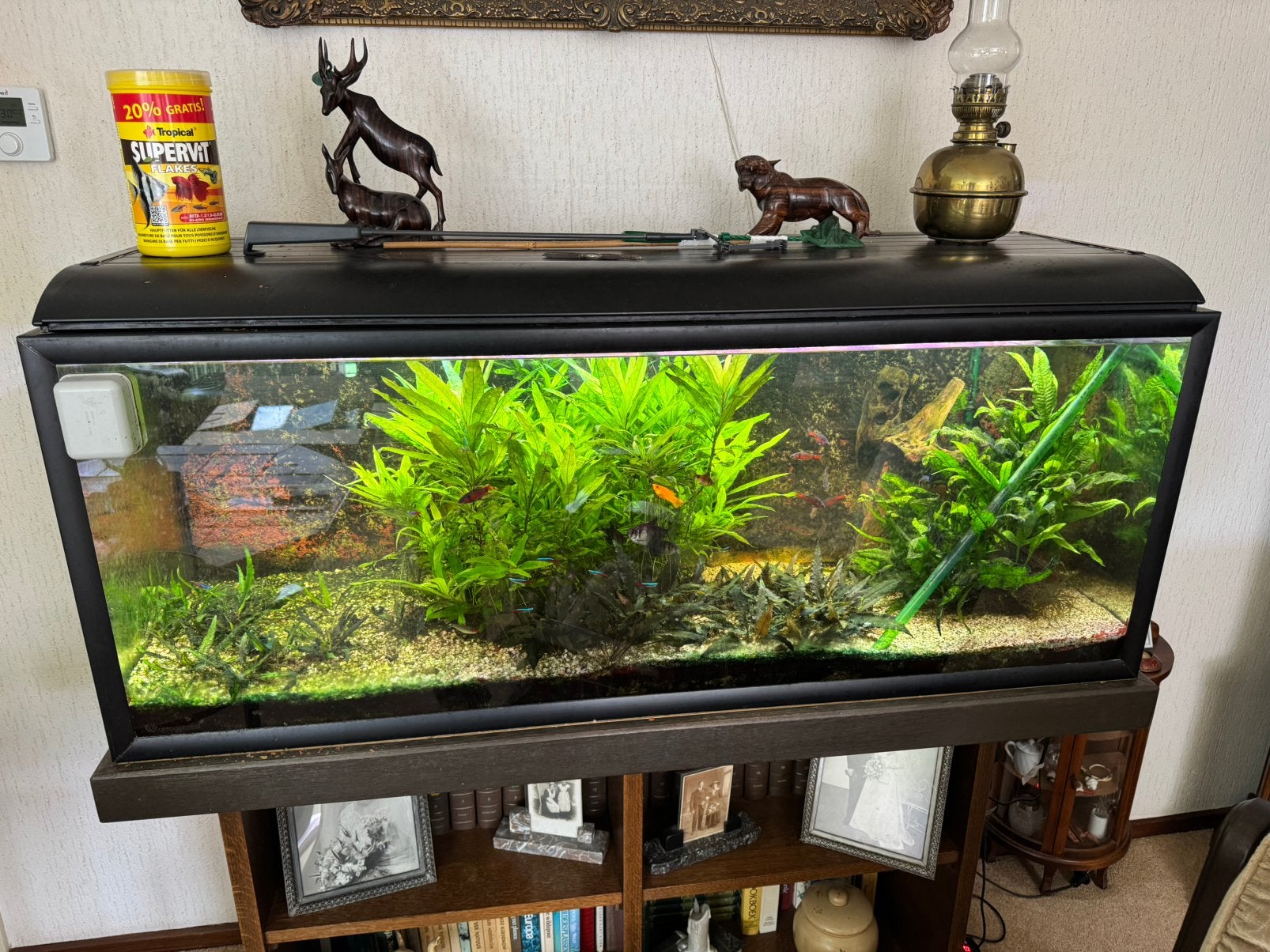 Aquarium compleet, Dieren en Toebehoren, Ophalen, Zo goed als nieuw
