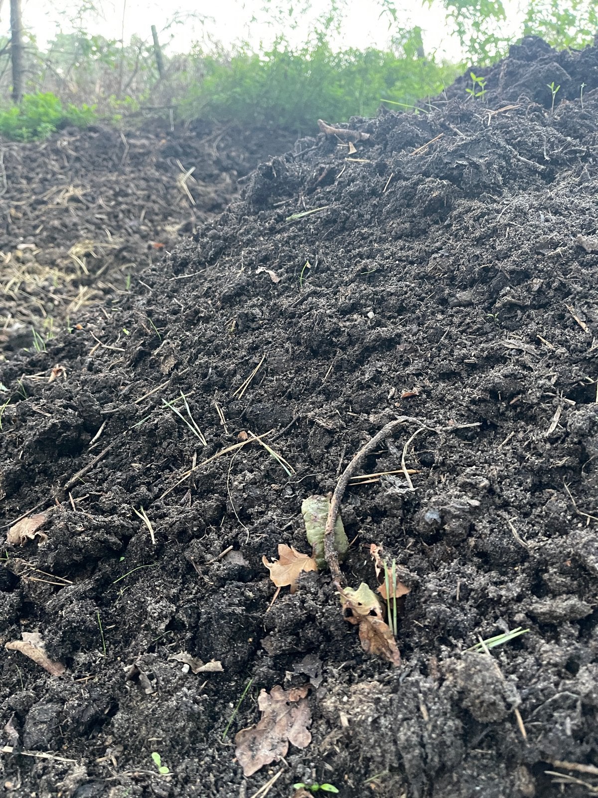 Top bio compost voor uw tuin, Ophalen, Compost