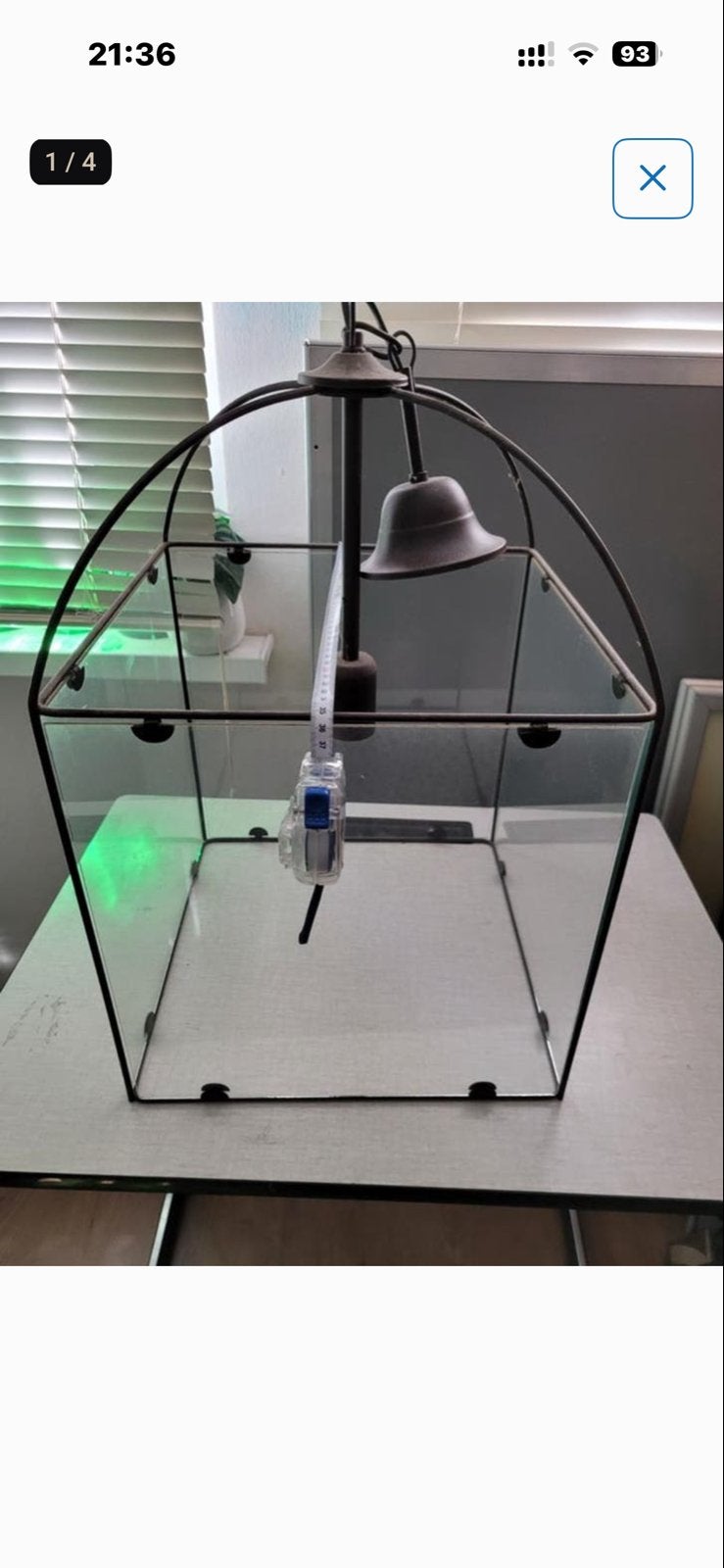 Decoratieve glazen terrarium/lantaarn met verlichting, Ophalen