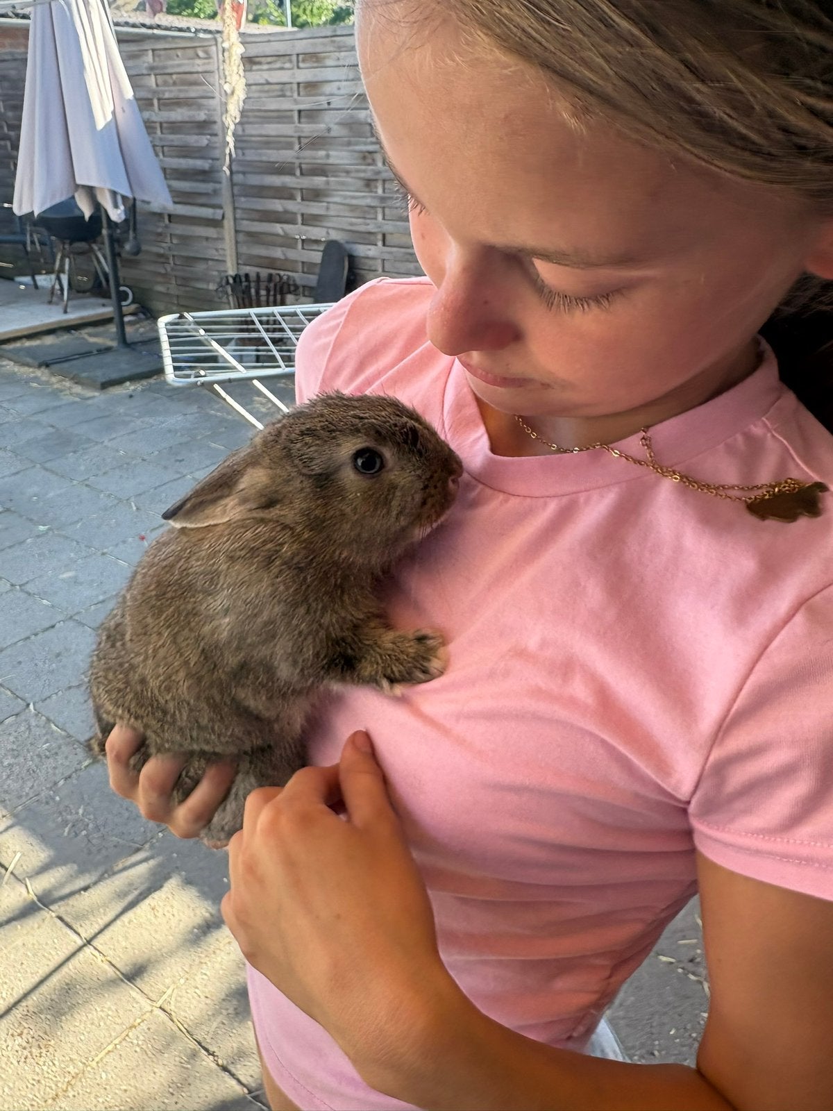 Lief konijn te koop., Vrouwelijk, Dwerg, 0 tot 2 jaar