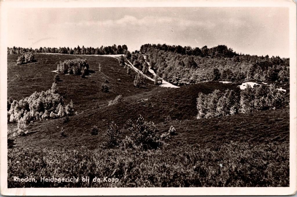 Rheden - Heidegezicht bij de Kaap (1953), Verzenden, 1940 tot 1960, Gelopen, Gelderland