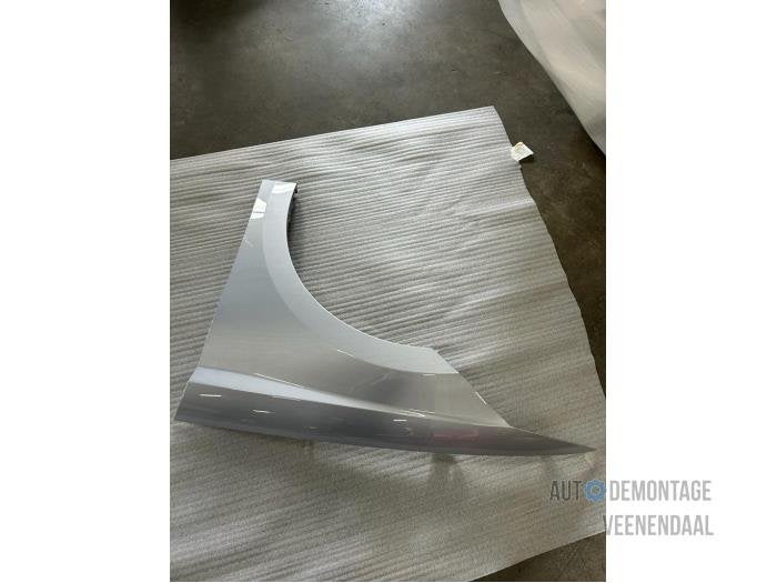 Scherm links-voor van een Seat Ibiza (LZ7G), -, -, Nieuw, Ophalen of Verzenden