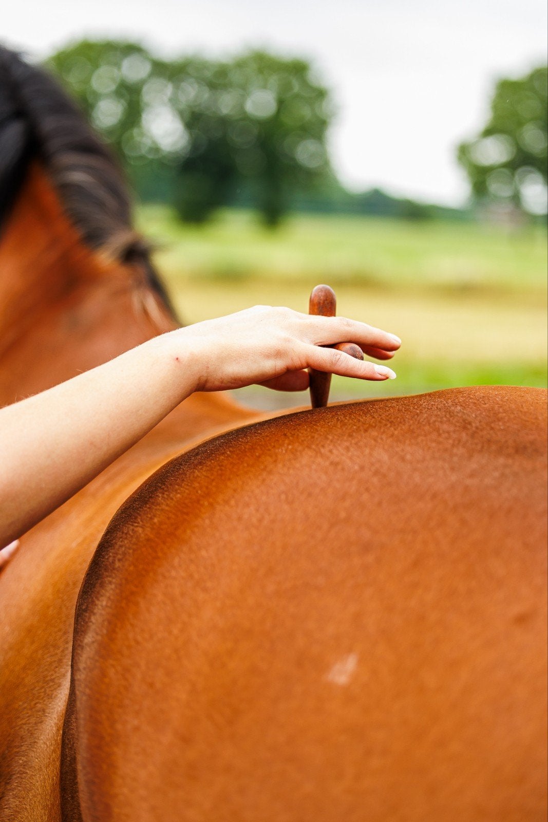 Myofasciale sportmassage, Ophalen