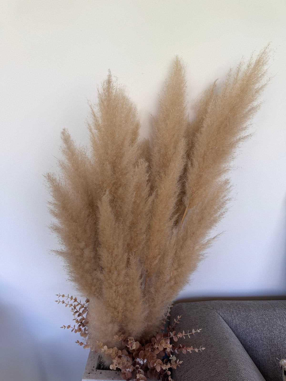 Gedroogde pampas pluimen 12+ stuks, Ophalen, Gebruikt