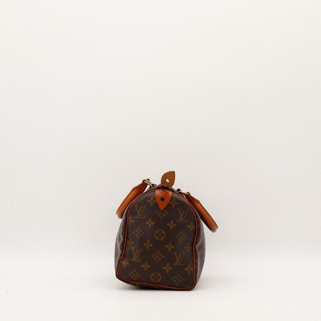 Louis Vuitton Speedy 25 handtas, Verzenden, Gebruikt, Bruin, Handtas
