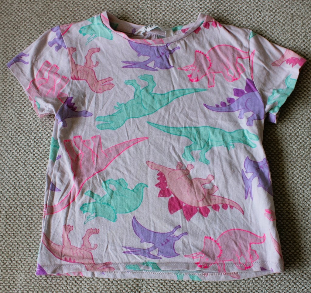 T-shirt van H&M 98/104, Kinderen en Baby's, Kinderkleding | Maat 98, Gebruikt, Meisje, H&M, Ophalen of Verzenden