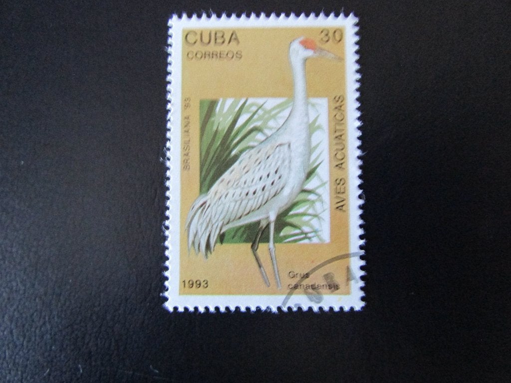 Postzegel Vogel: Canadese Kraanvogel uit Cuba, Ophalen of Verzenden, Gestempeld, Dier of Natuur