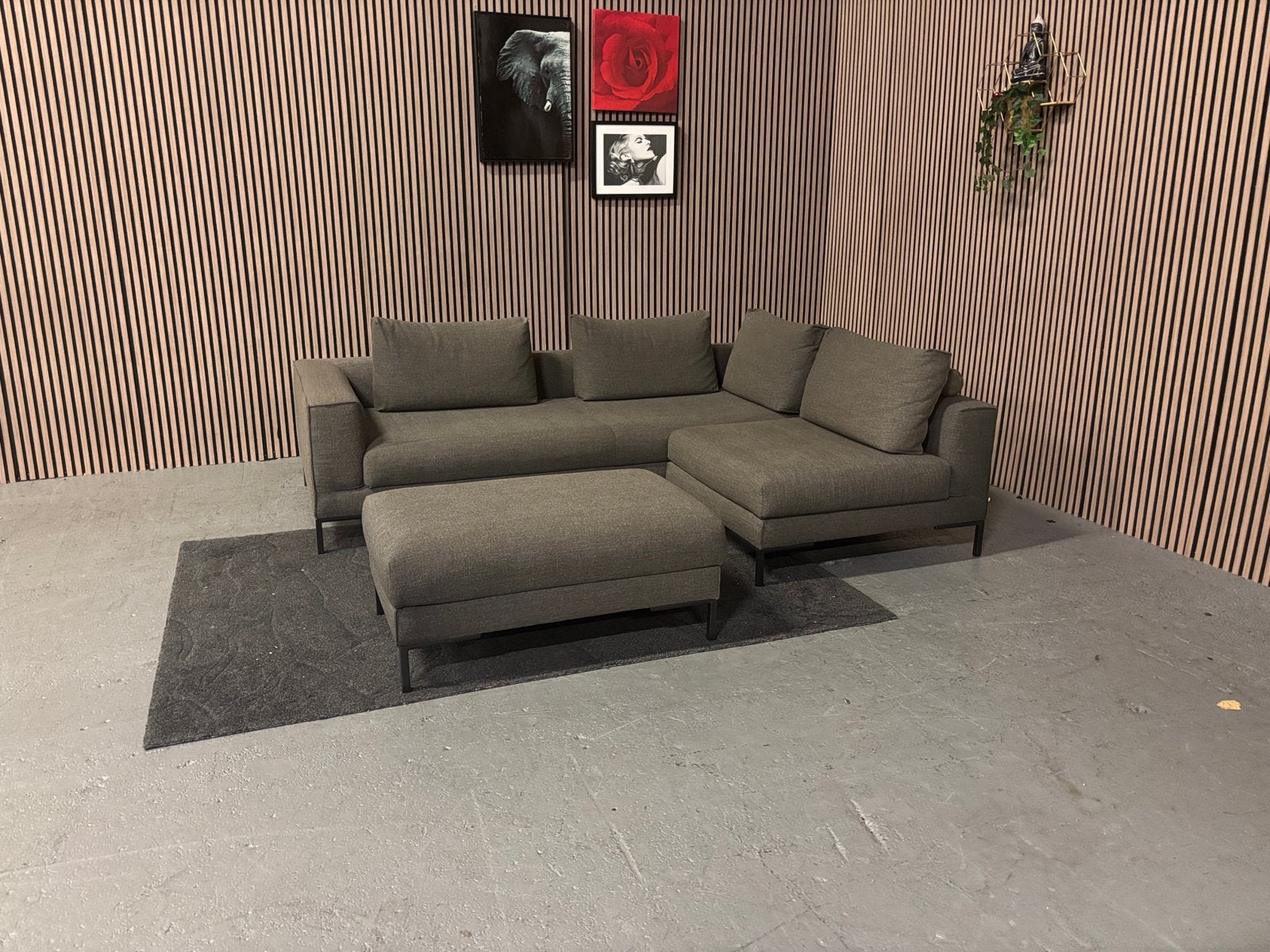 GRATIS LEVERING Design on Stock Aikon Bank 245x190 GEREINIGD