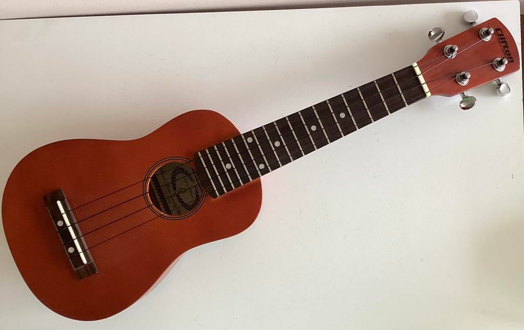 Een Clifton Ukulele met hoes, Muziek en Instrumenten, Ophalen of Verzenden, Zo goed als nieuw, Ukelele