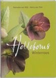 HELLEBORUS Kerstroos Auteur: Hanneke van Dijk Co-auteur, Ophalen of Verzenden, Zo goed als nieuw, Bloemen, Planten en Bomen