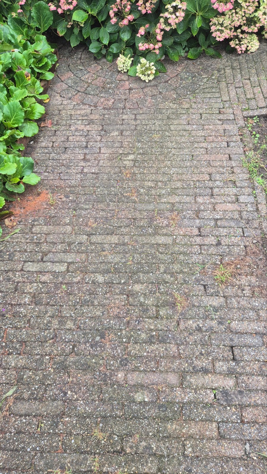 GRATIS Waalformaat betonklinkers rood/bruin, Tuin en Terras, Ophalen, Gebruikt, Klinkers, 5 tot 10 m²